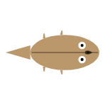 Back Leg Length: Short