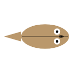 Eyes: Large
