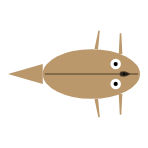 Front Leg Length: Long